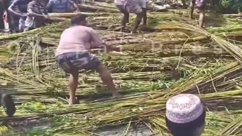 চাঁপাইনবাবগঞ্জে পাট বোঝাই ট্রাক্টর উল্টে পাটের নীচে চাপা পড়ে শিশুর মৃত্যু